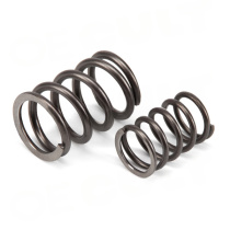 Porsche 911 (993) 1994-1998 Ventilfjädrar Set Insugsventil Avgasventil OE-Cult